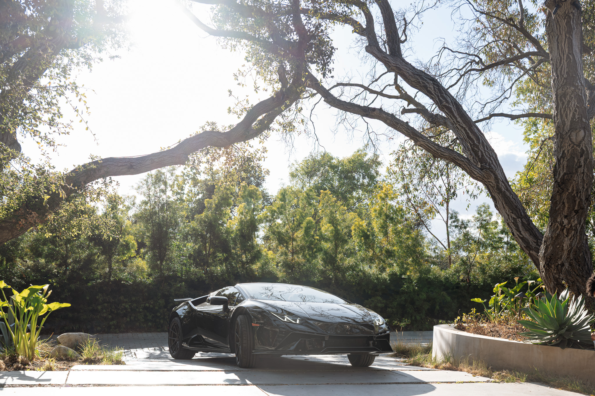 Luxury Car Rental