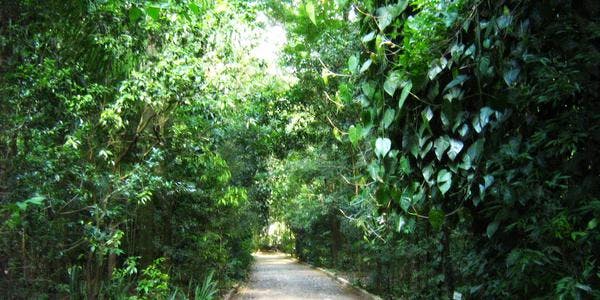 Parque do Japão - Maringá - PR