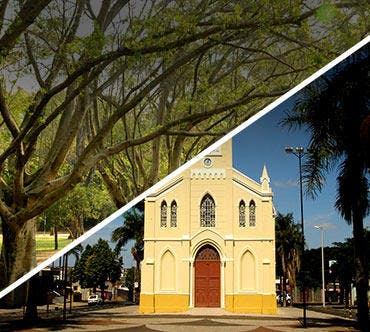 São Paulo x Uberlândia