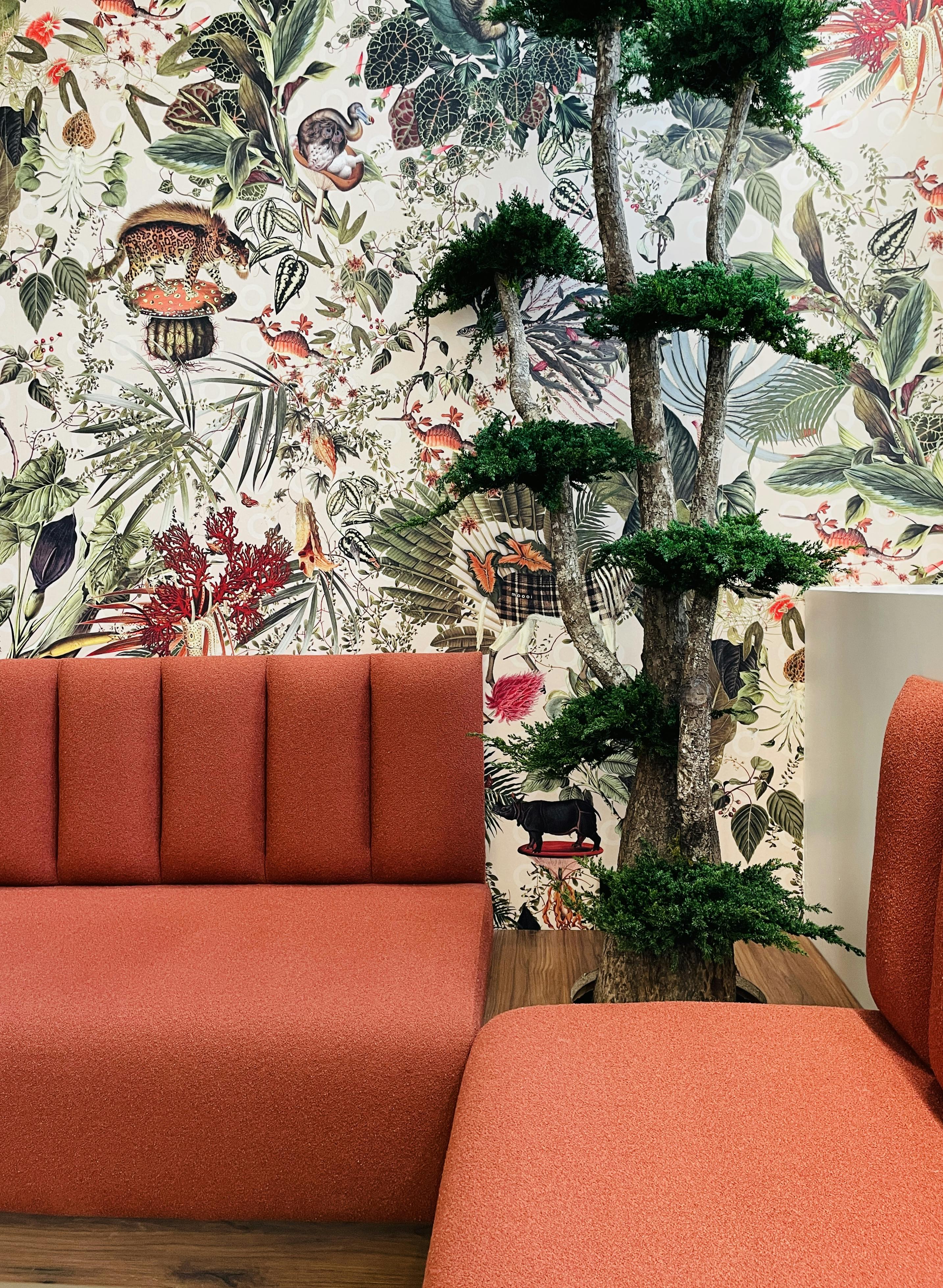 Maison Maslag / Projet / Professionnels / MOISSONS