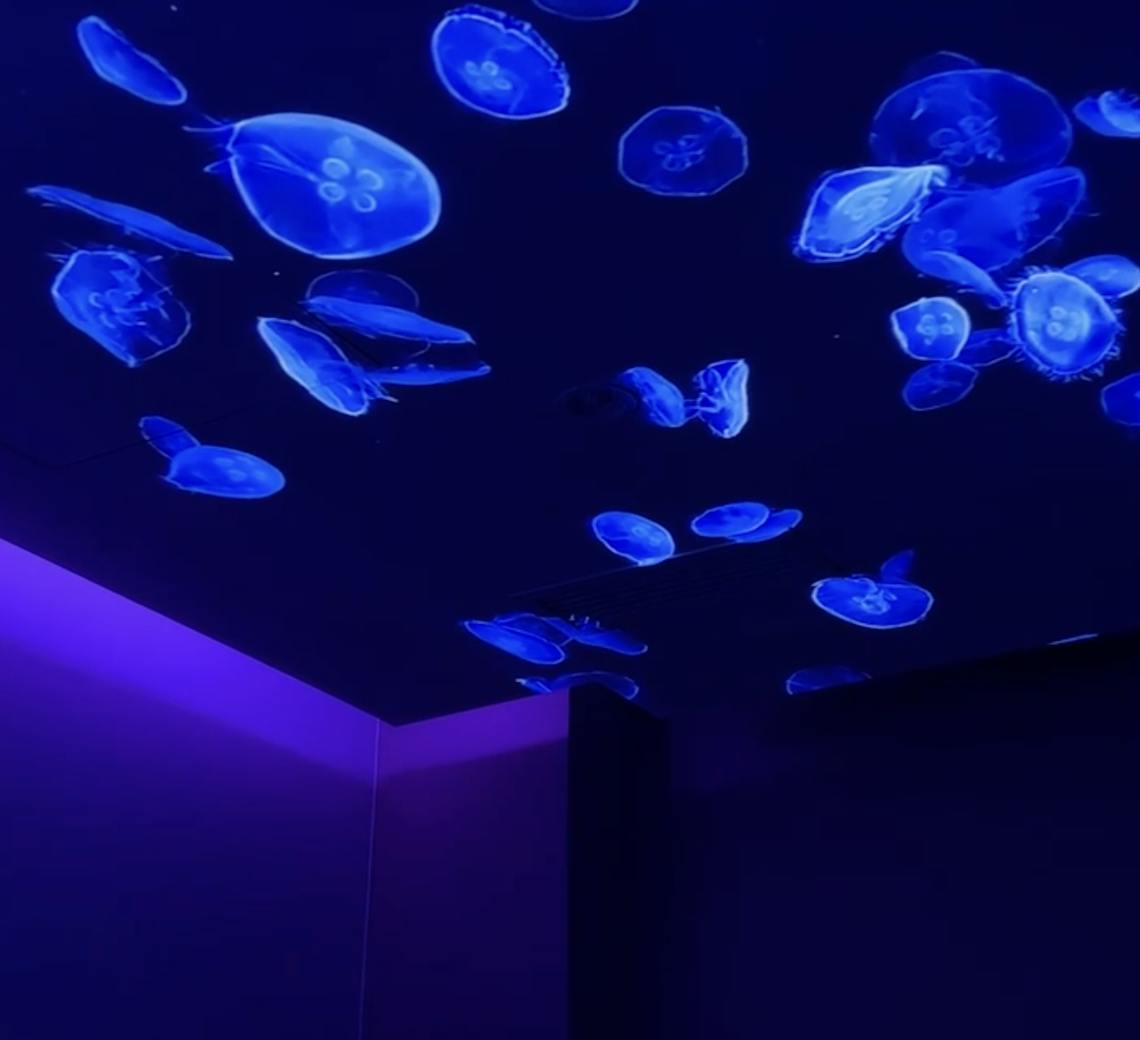 Des salles en immersion chez Maison Yoko pendant vos soins