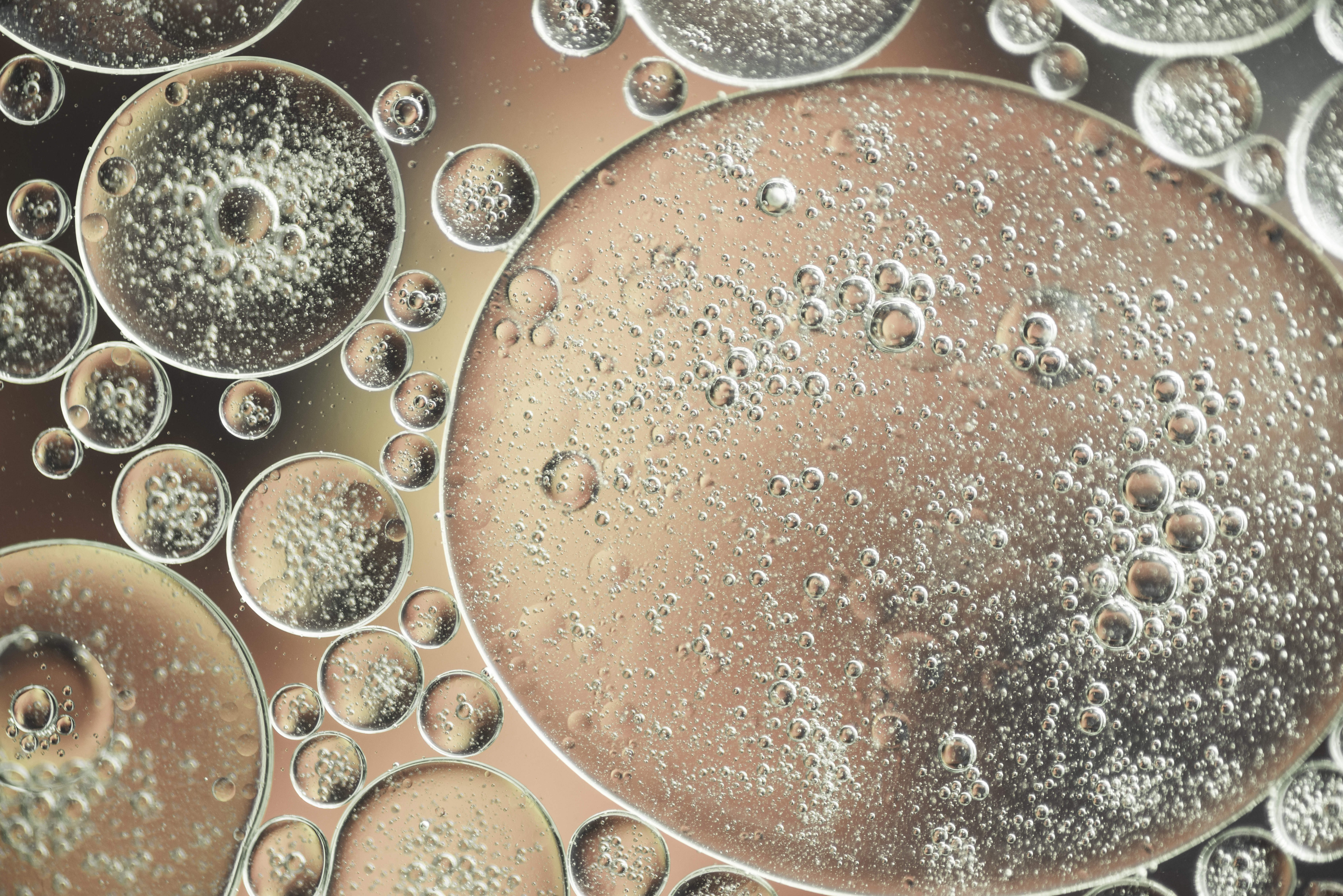 le microbiome de la peau et son importance dans la qualité de peau