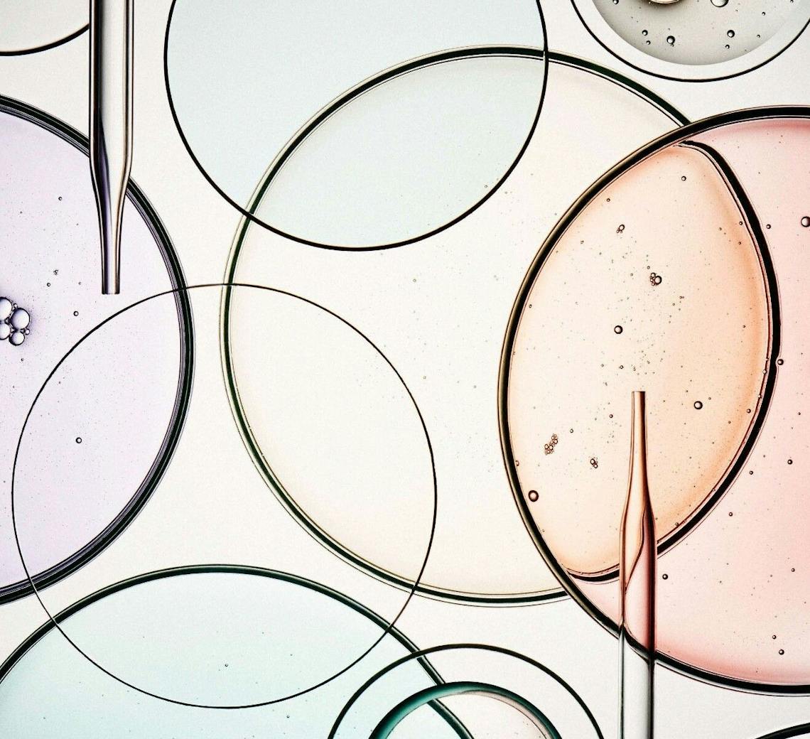 Les 12 facteurs de vieillissement cutané | Expliqué par Maison Yokō