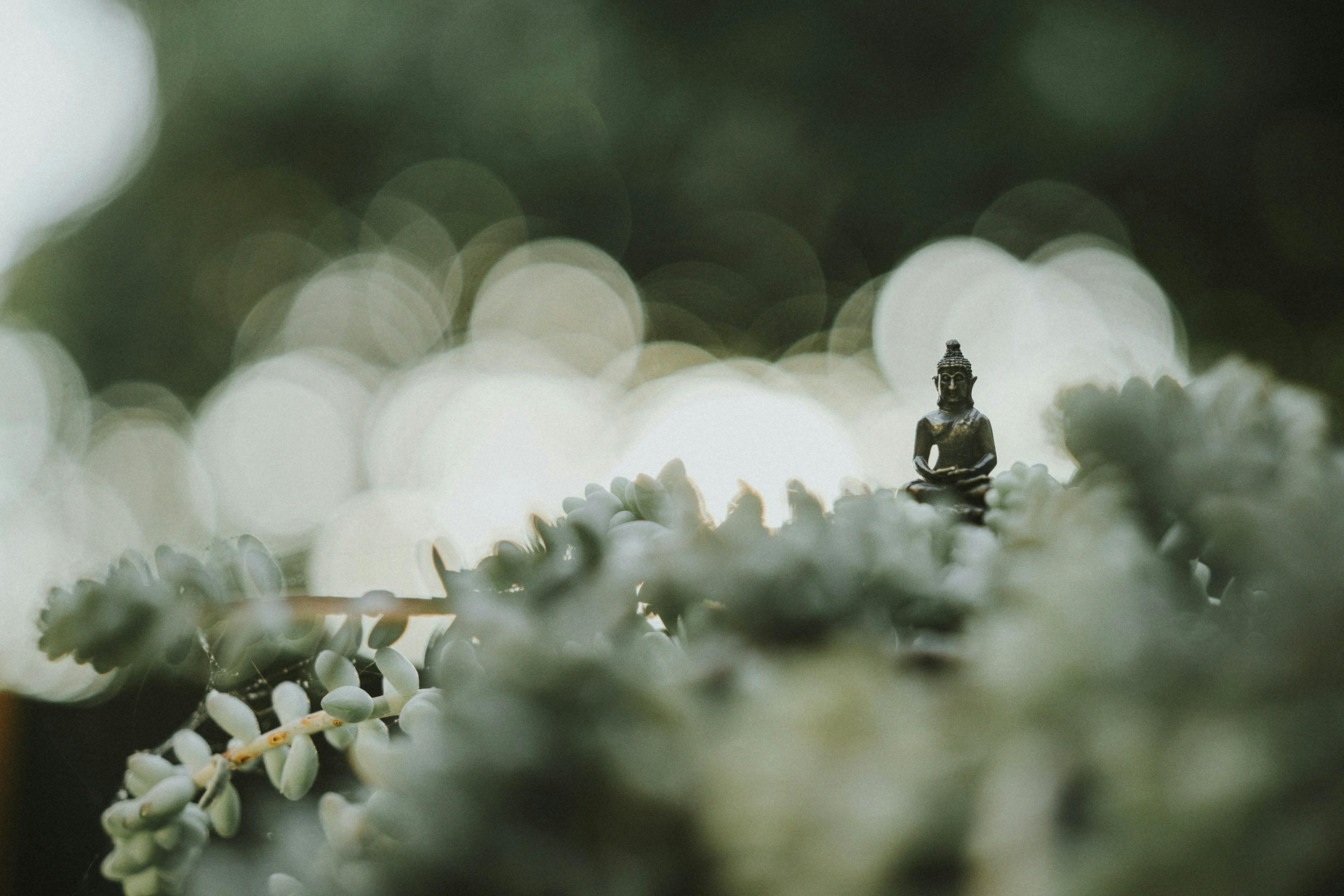 Photo by Samuel Austin on Unsplash