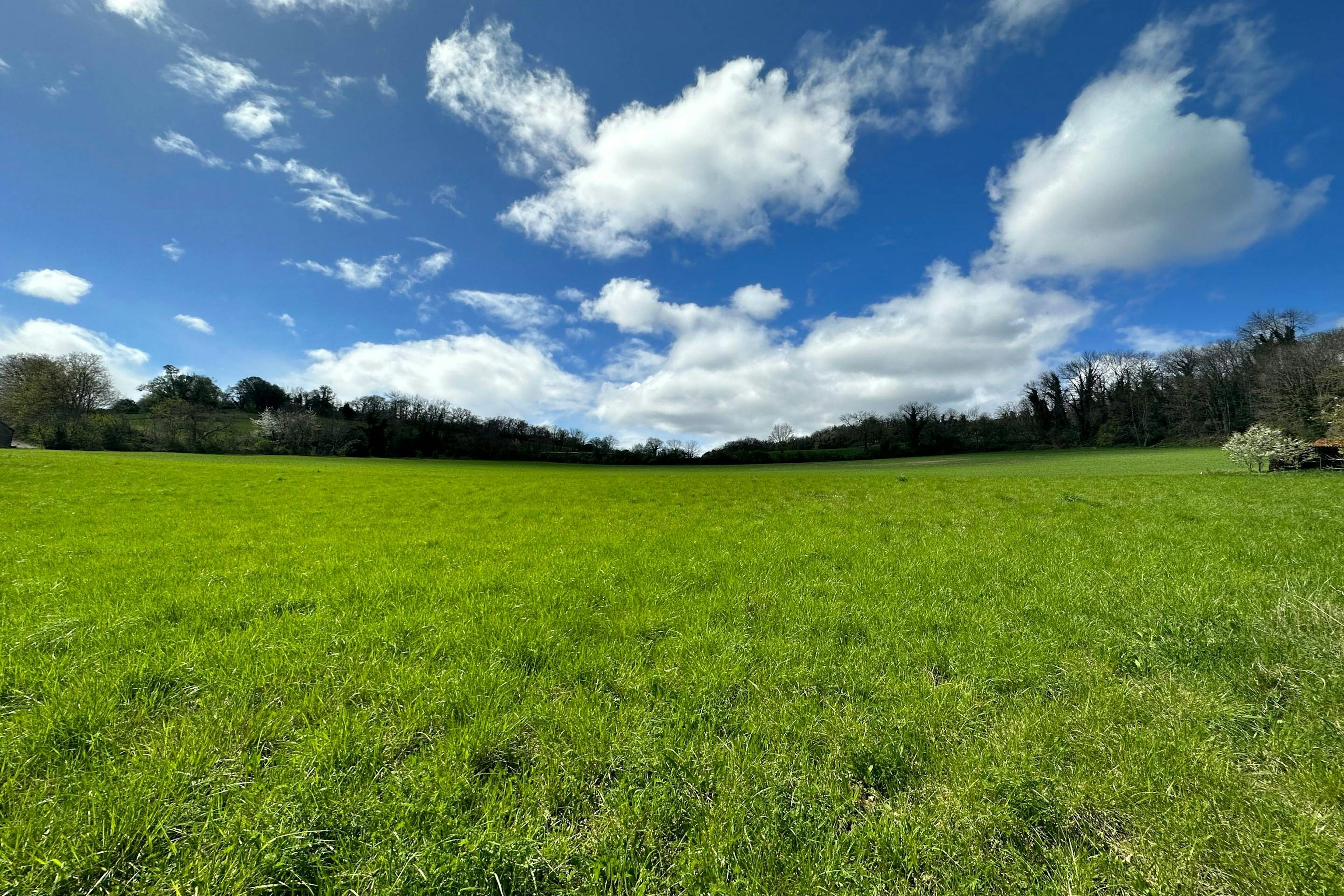 terrain de 4600 m2 à Chaptuzat