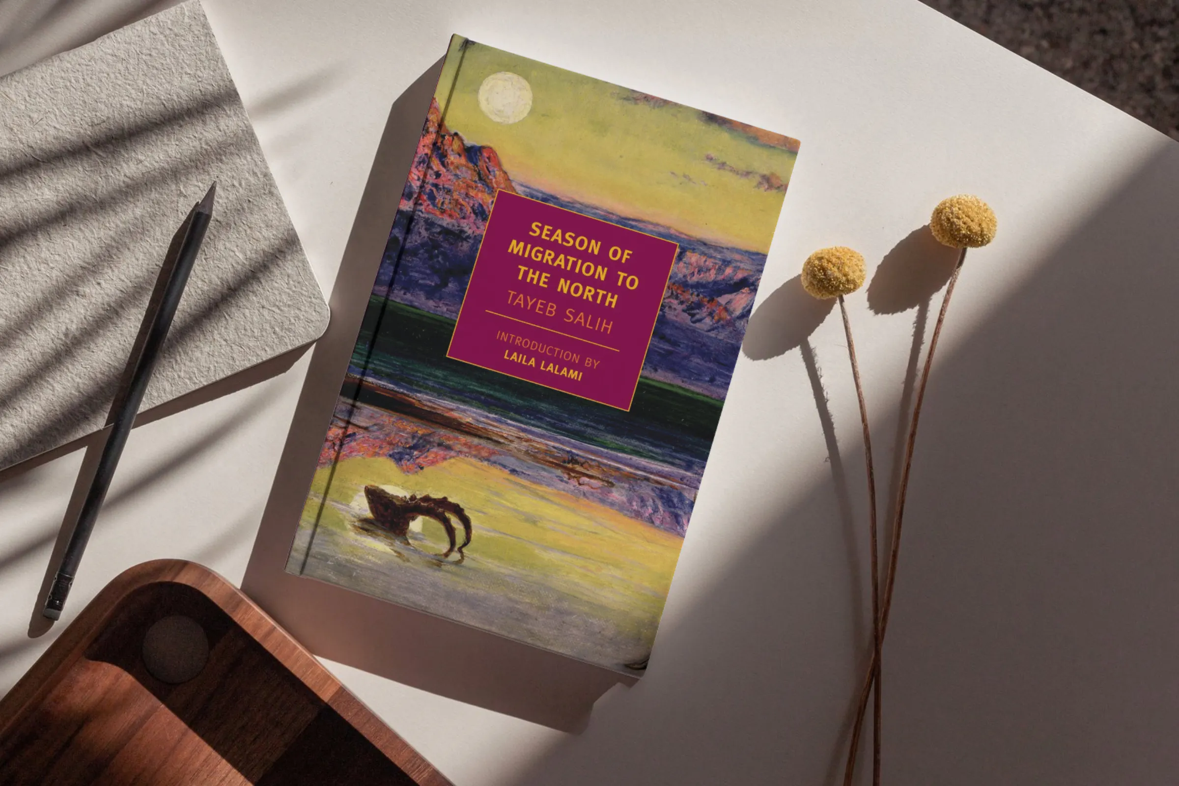 Season of Migration to the North by Tayeb Salih