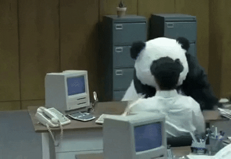 GIF of a giant panda trashing the office