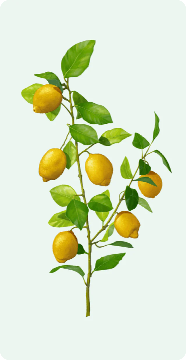 Weleda - Explore the Open Garden - Makemepulse