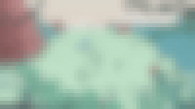 Extract of the project : flowers into the jungle