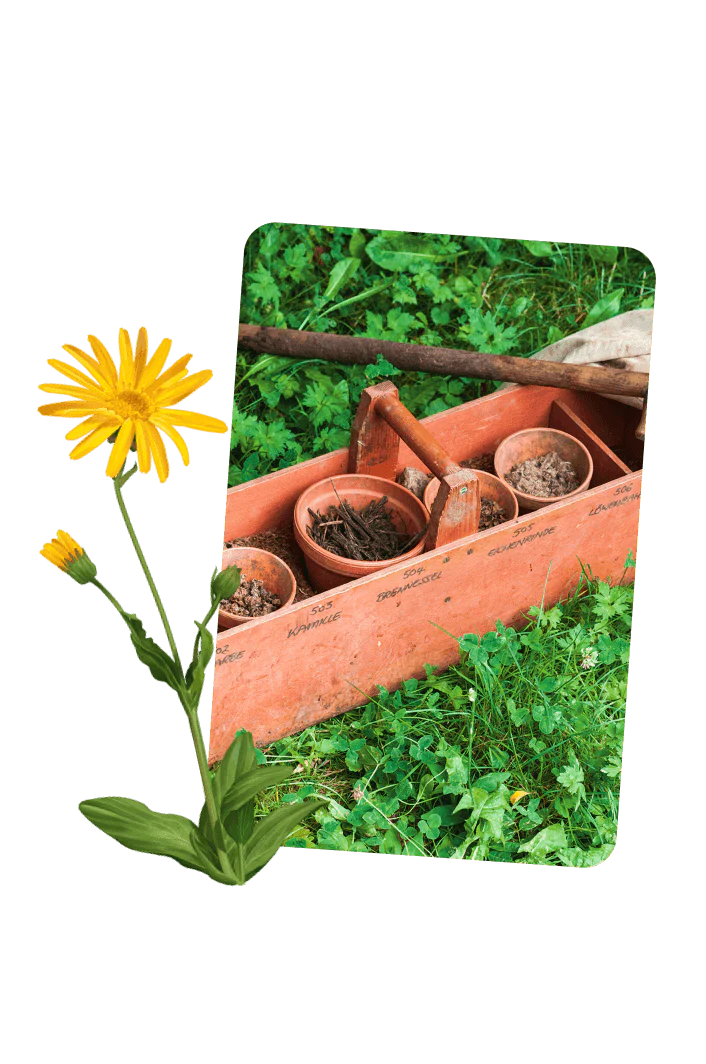 Weleda - Explore the Open Garden - Makemepulse