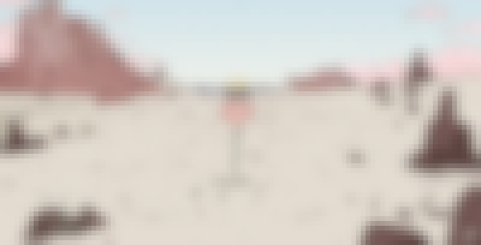 Extract of the project : growth of a flower in the desert
