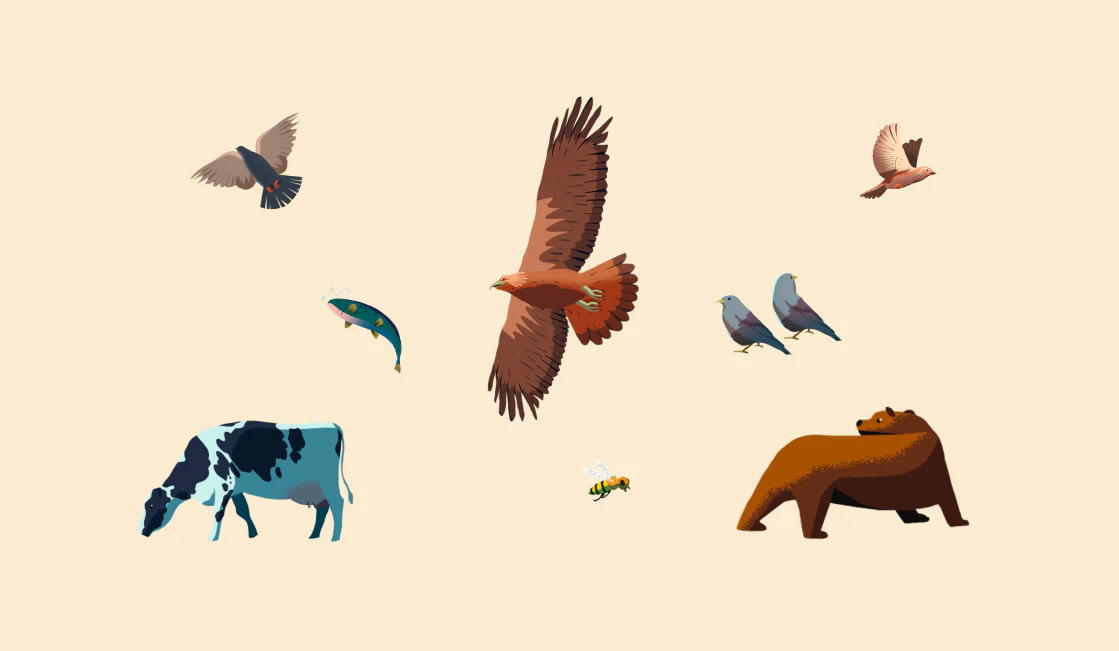 The French Biodiversity Agency - Makemepulse