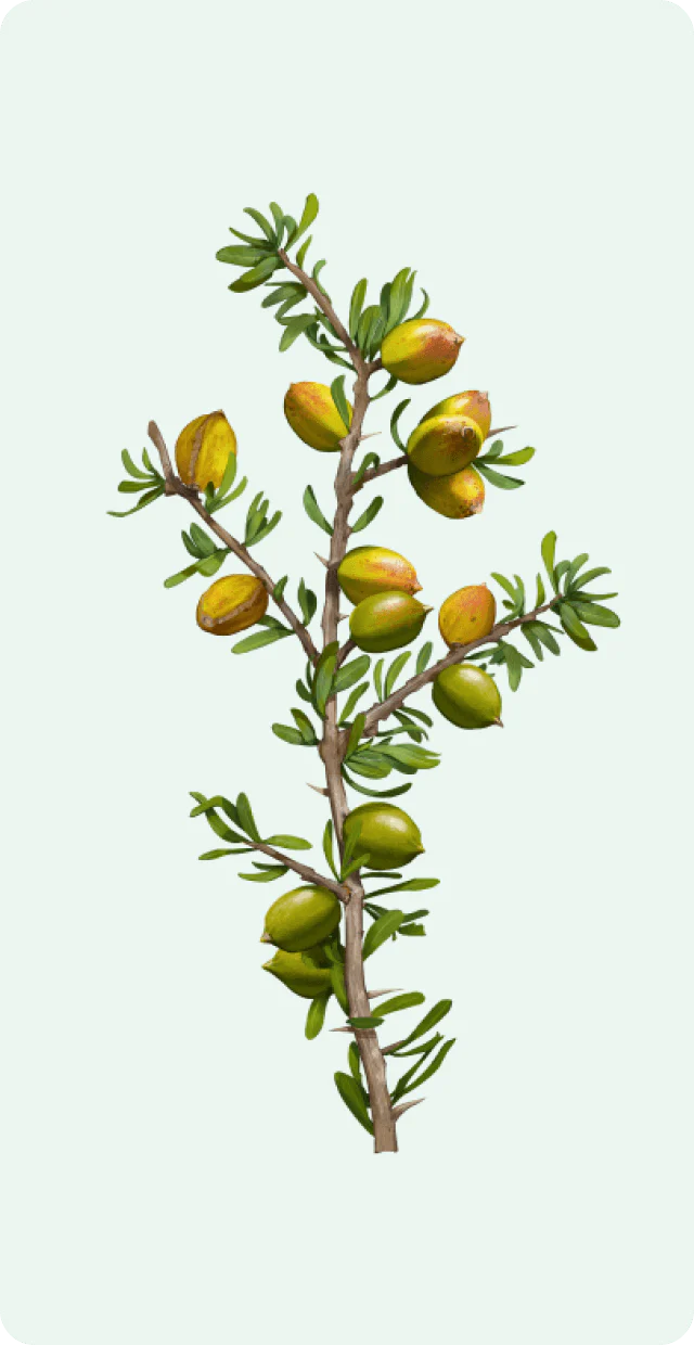 Weleda - Explore the Open Garden - Makemepulse