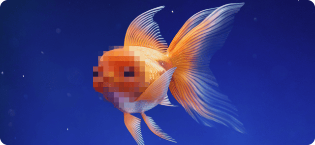 IBM_fish_AI_7