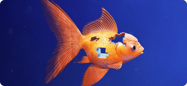 IBM_fish_AI_9