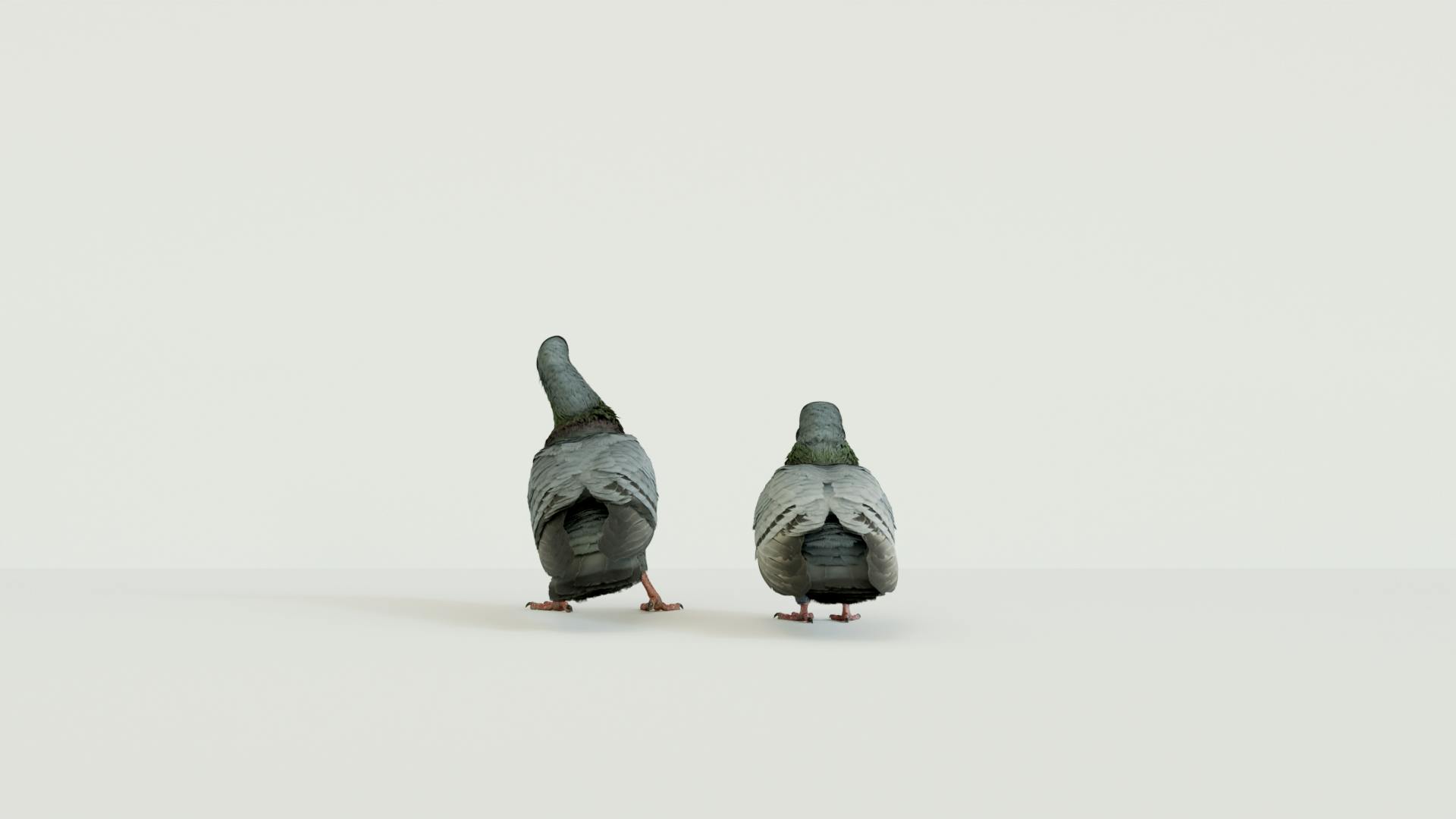 DIRECT TV’s anxious pigeons - Makemepulse
