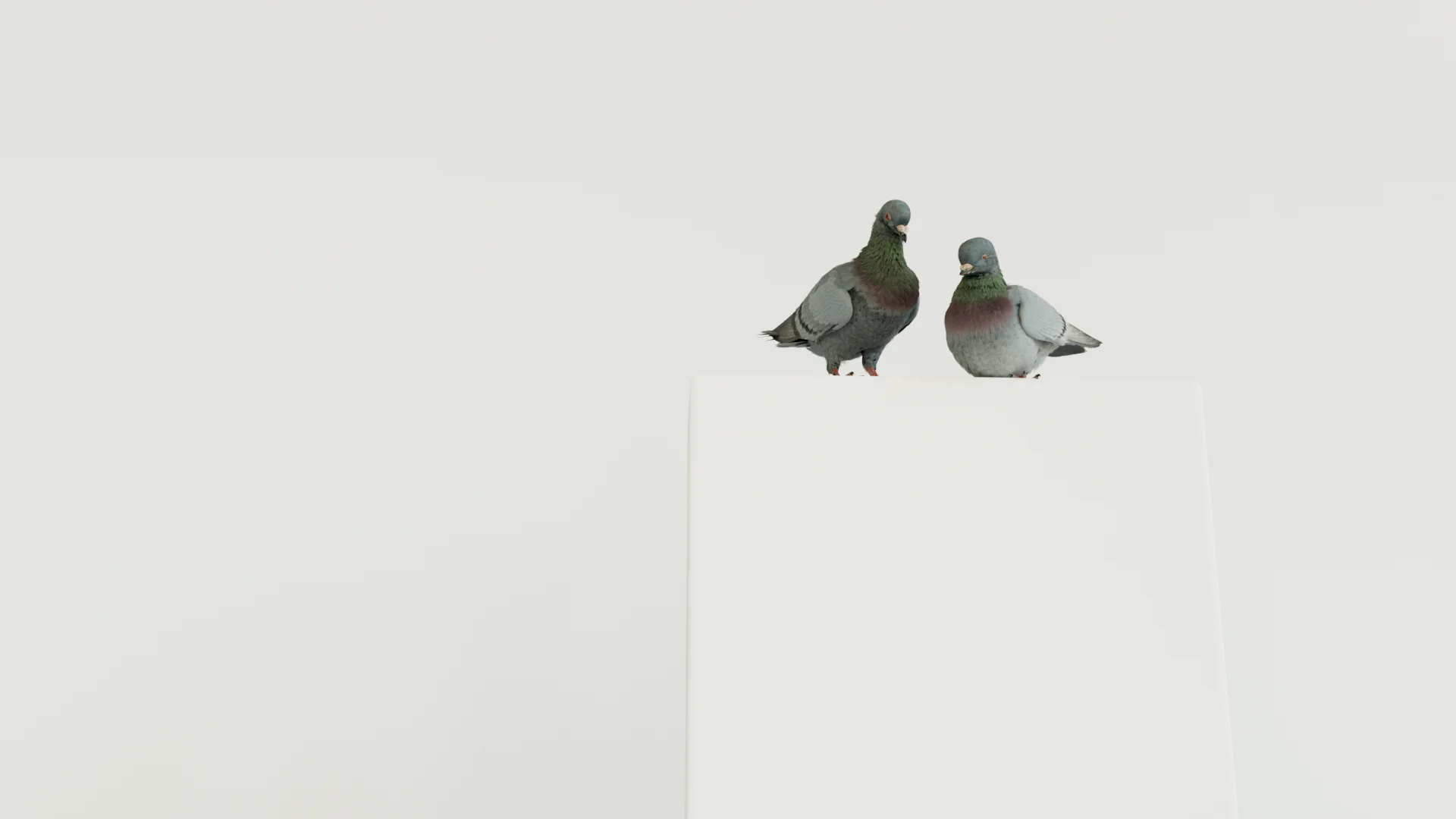 DIRECT TV’s anxious pigeons - Makemepulse