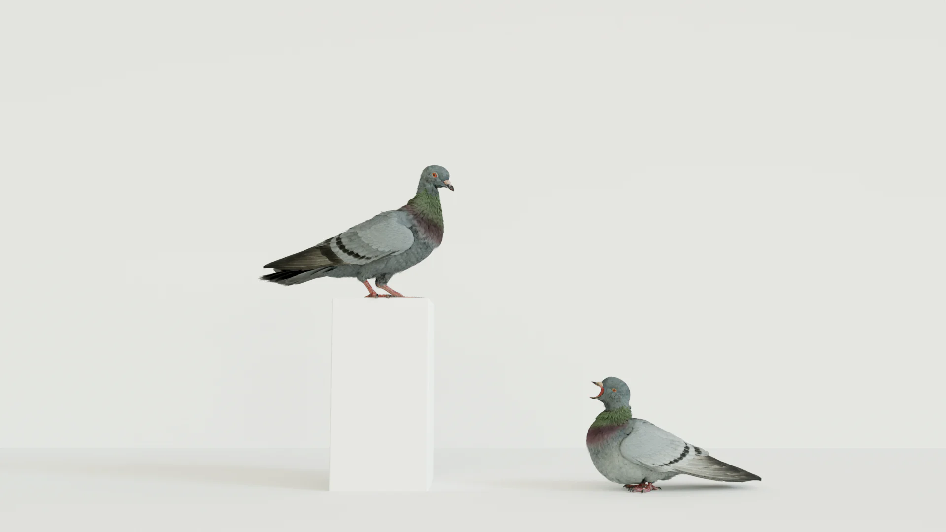 DIRECT TV’s anxious pigeons - Makemepulse