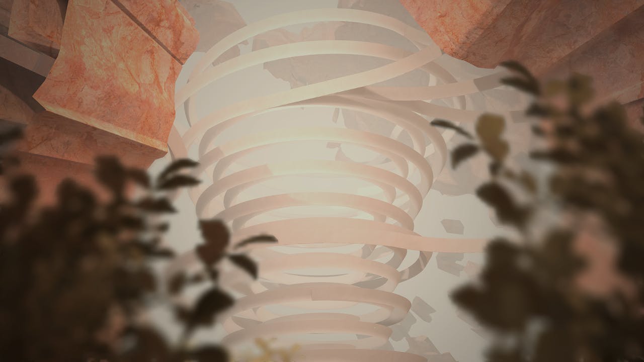 Image of the Baobab tree.