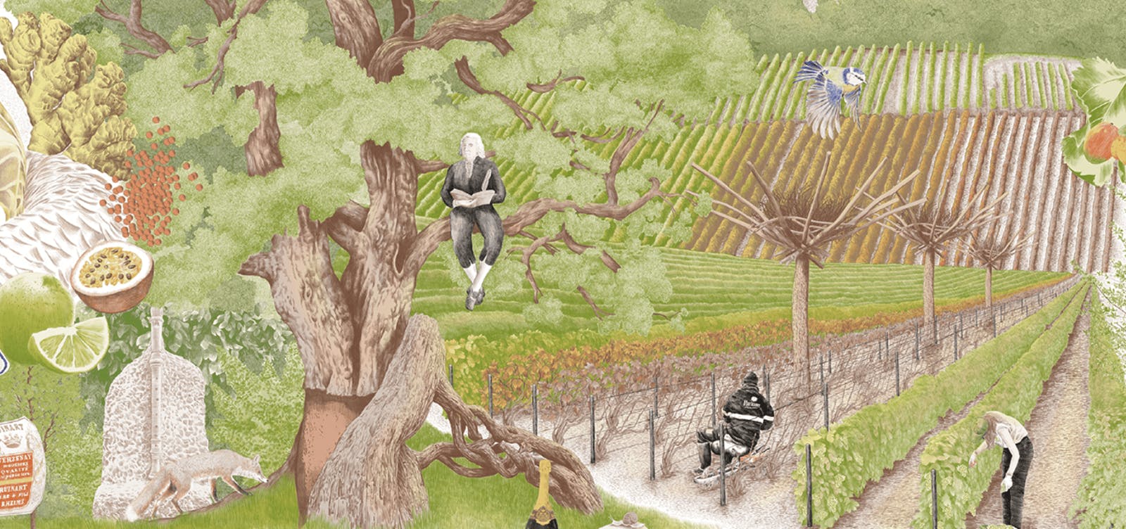 Ruinart - Digital fresco - Makemepulse