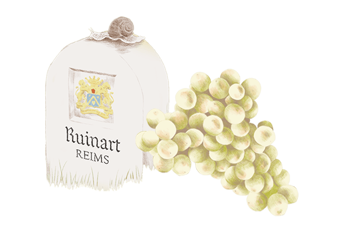 Ruinart - Digital fresco - Makemepulse