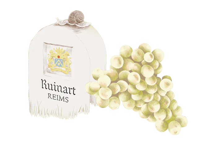 Ruinart - Digital fresco - Makemepulse