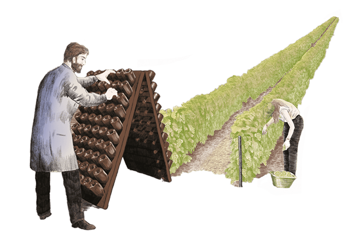 Ruinart - Digital fresco - Makemepulse