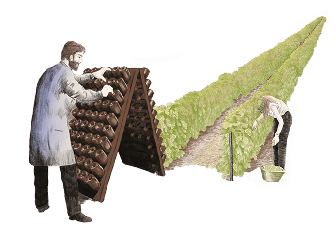 Ruinart - Digital fresco - Makemepulse