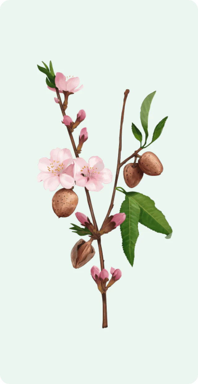 Weleda - Explore the Open Garden - Makemepulse