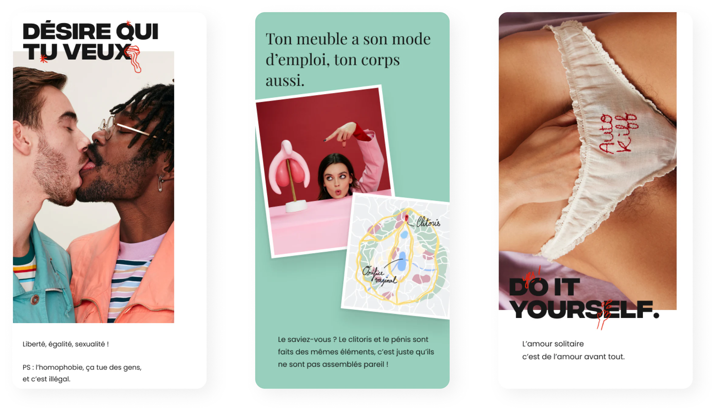 3 images of the website : "désire qui tu veux" and "do it yourself" with a of two men kissing