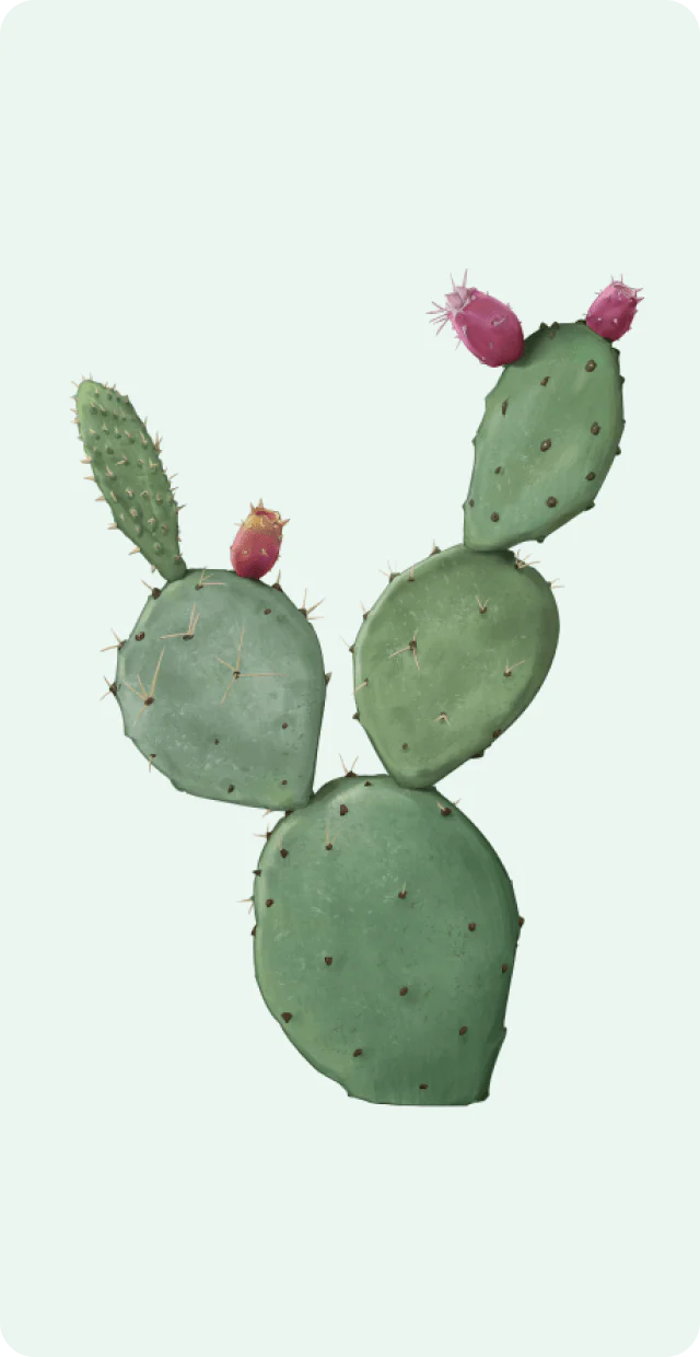 Weleda - Explore the Open Garden - Makemepulse