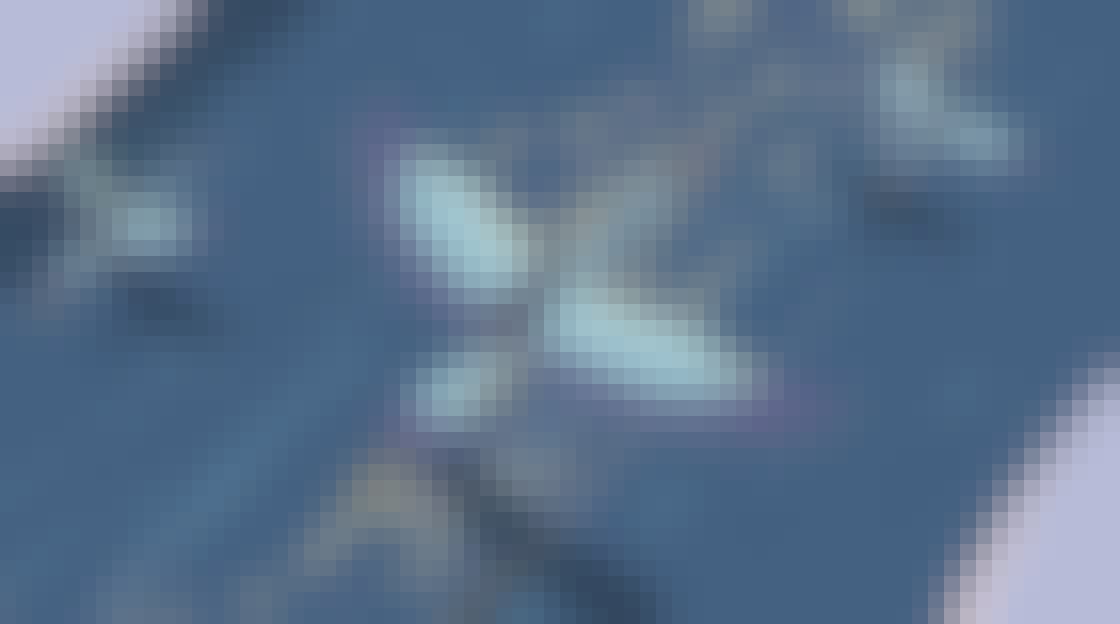 Extract of the project : gigantic birds flying over the sea