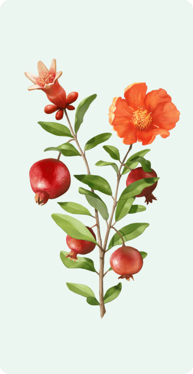 Weleda - Explore the Open Garden - Makemepulse