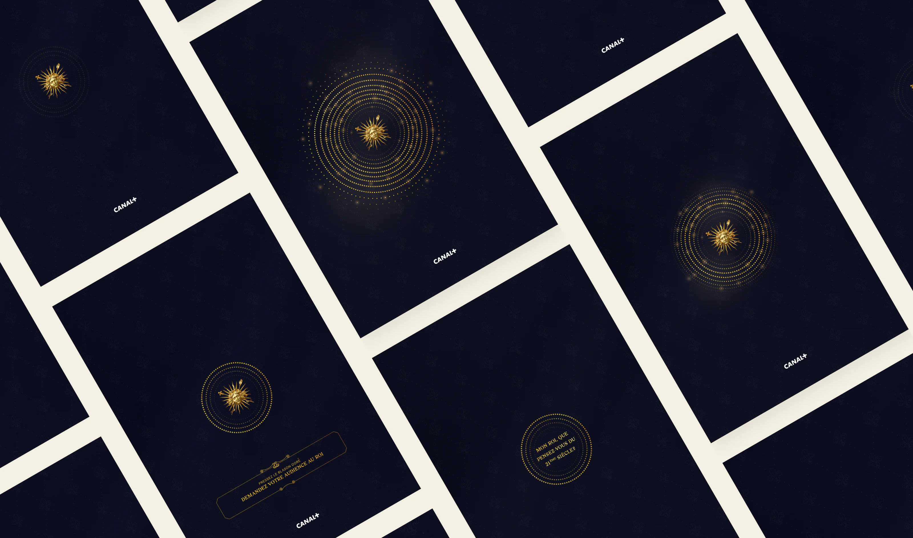 Mosaic of screens of the project