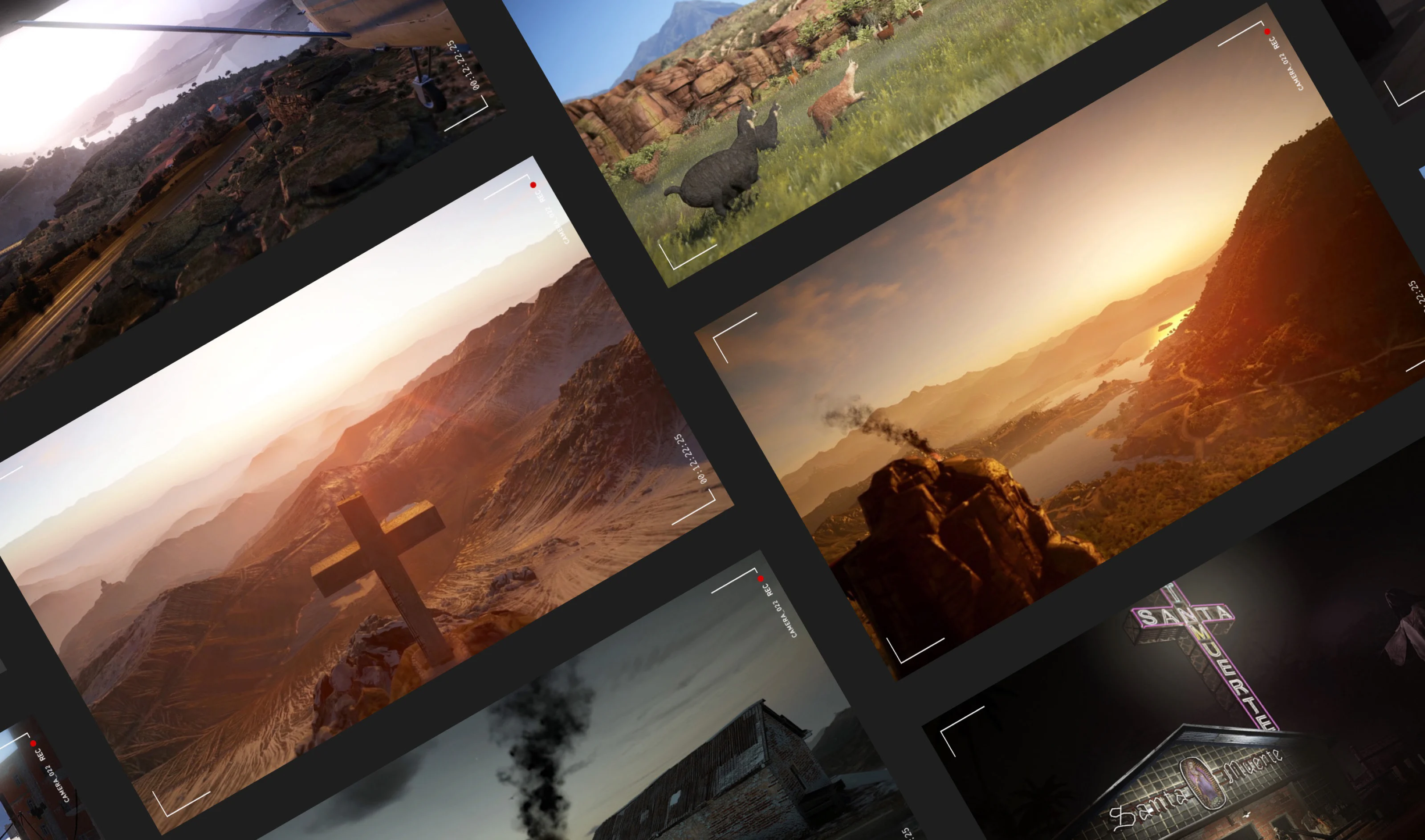 Mosaic of extracts of the project