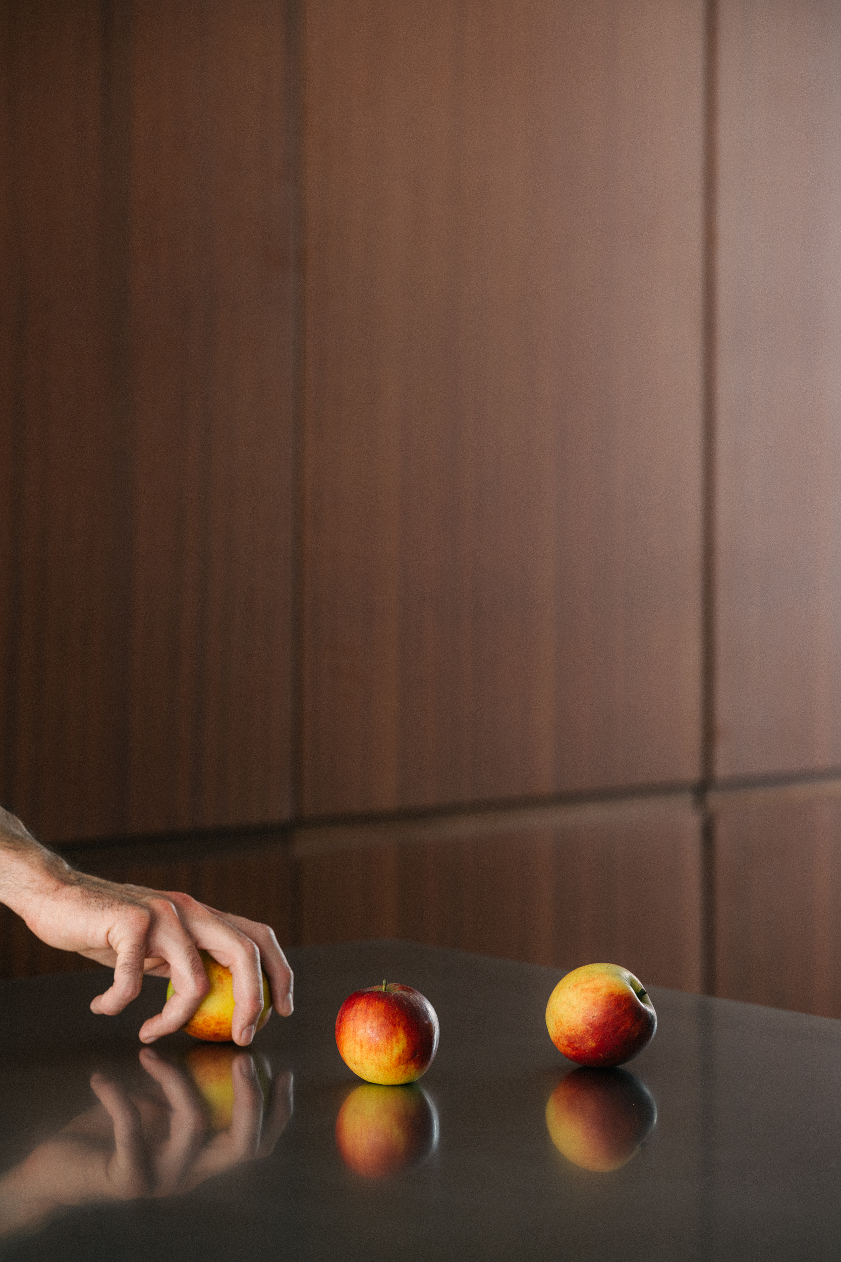 Contemporary sapele and stainless steel Ma-kon kitchen.