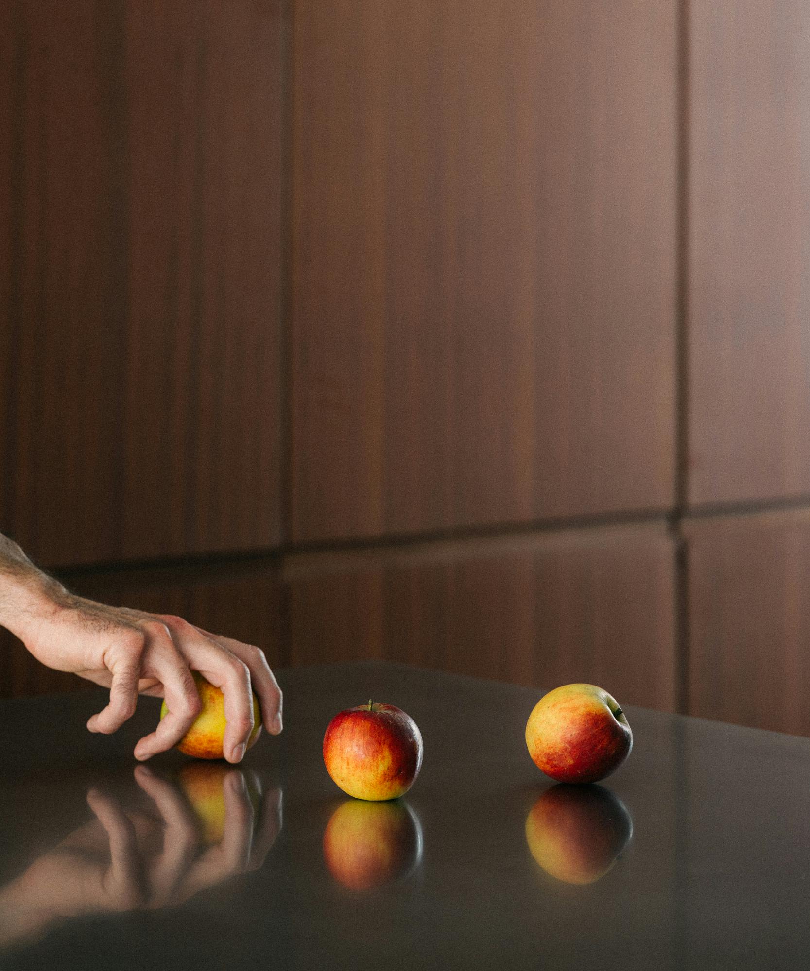 Contemporary sapele and stainless steel Ma-kon kitchen.