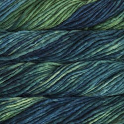 Malabrigo Rasta 190 Draco – Wool and Company