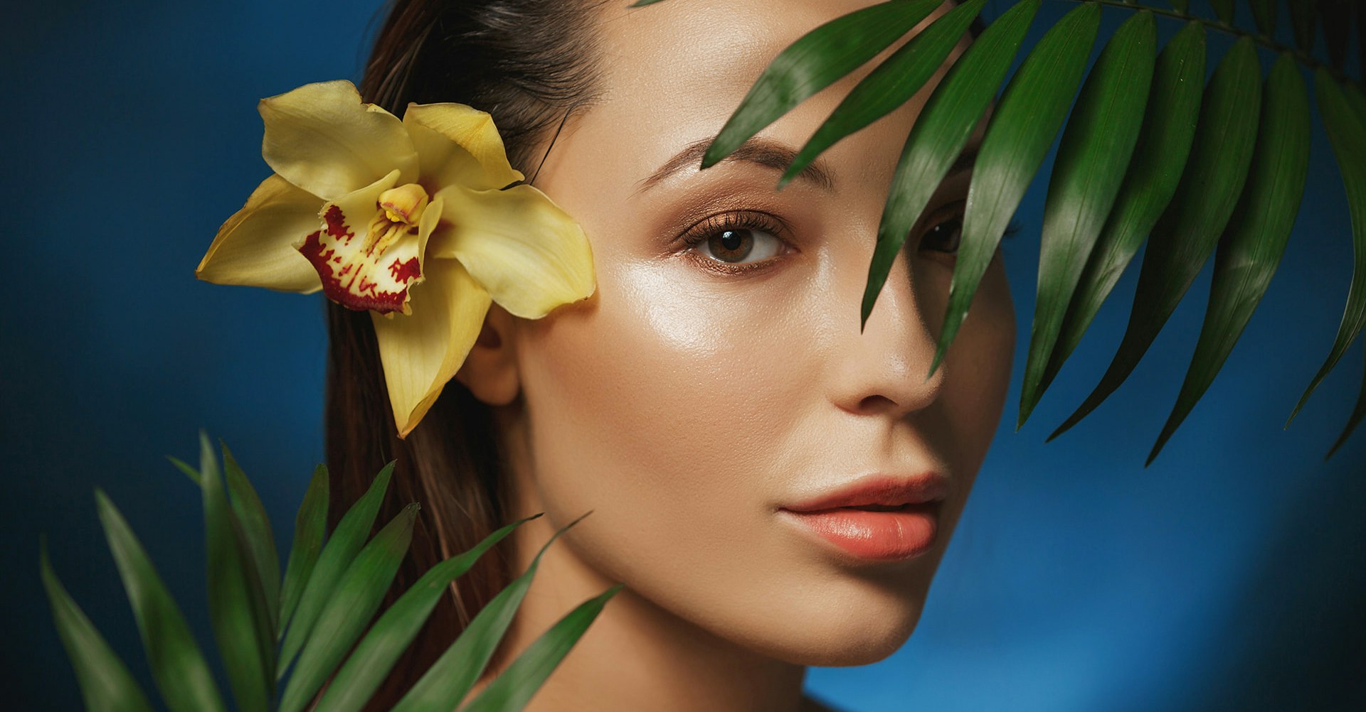 Paracelse cover image