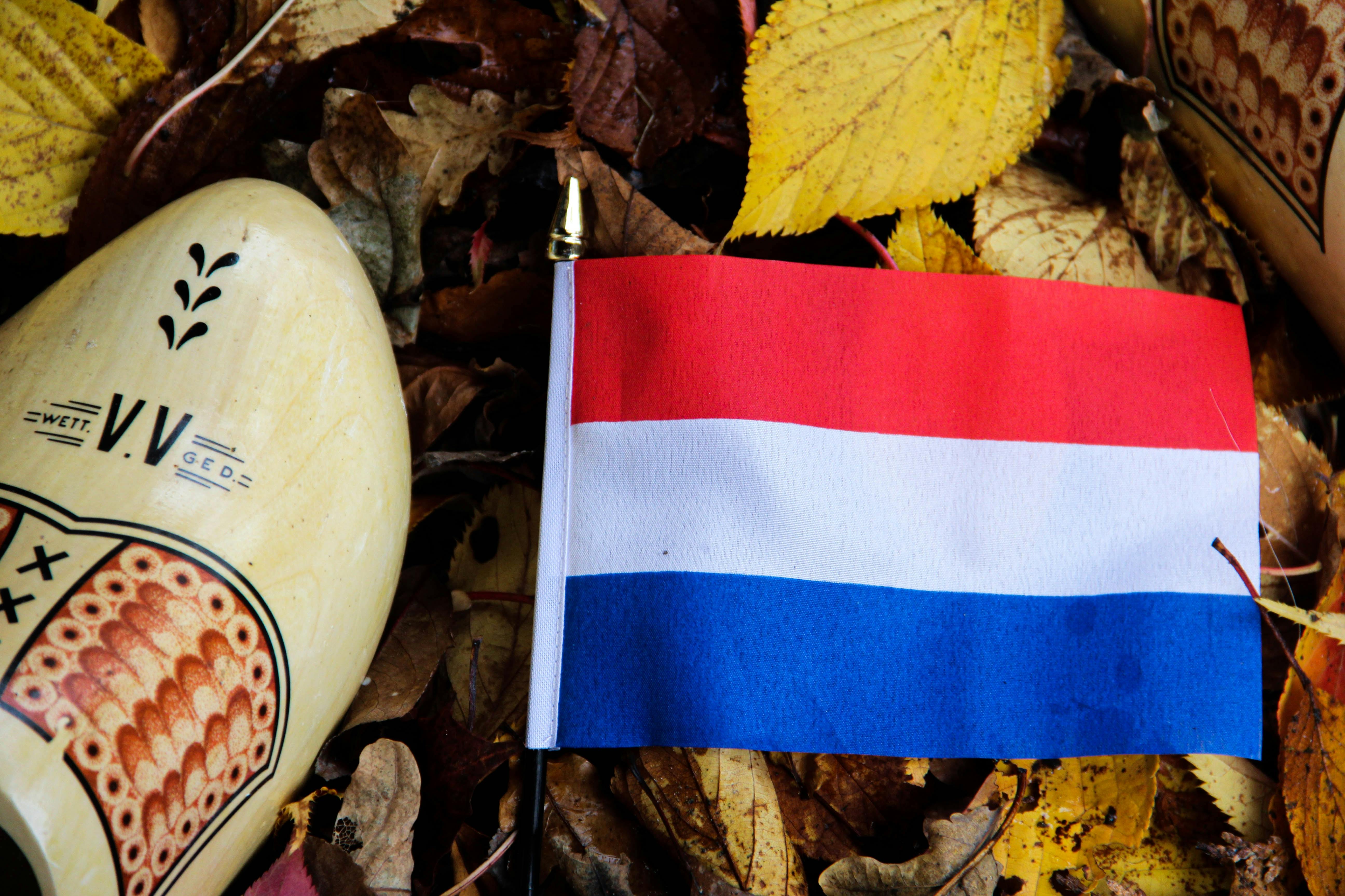 Alles wat je in Nederland als freelancer moet weten over BTW