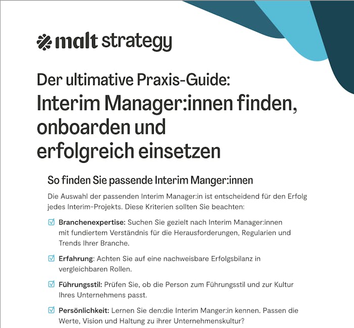 Interim Manager Guide