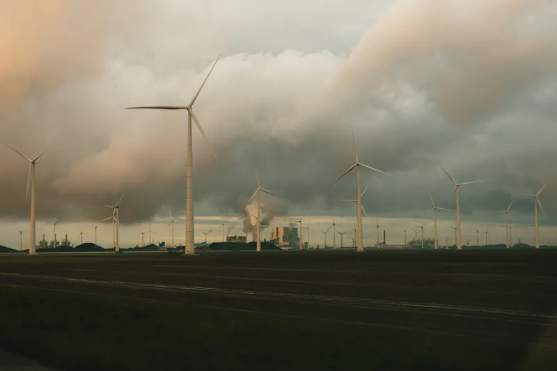 Foto door Tim van der Kuip op Unsplash