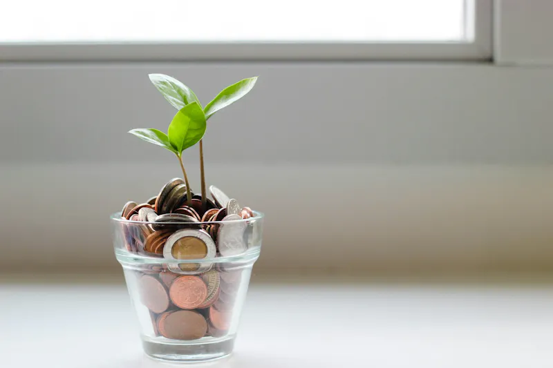 Une jeune plante dans un pot rempli de pièces de monnaie.