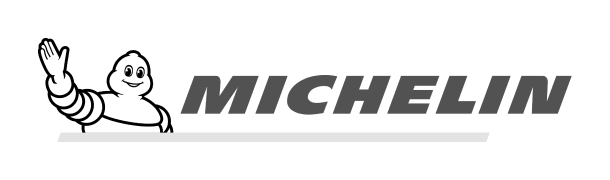 logo michelin grey