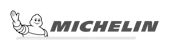 logo michelin grey