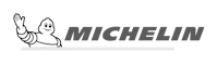 logo michelin grey
