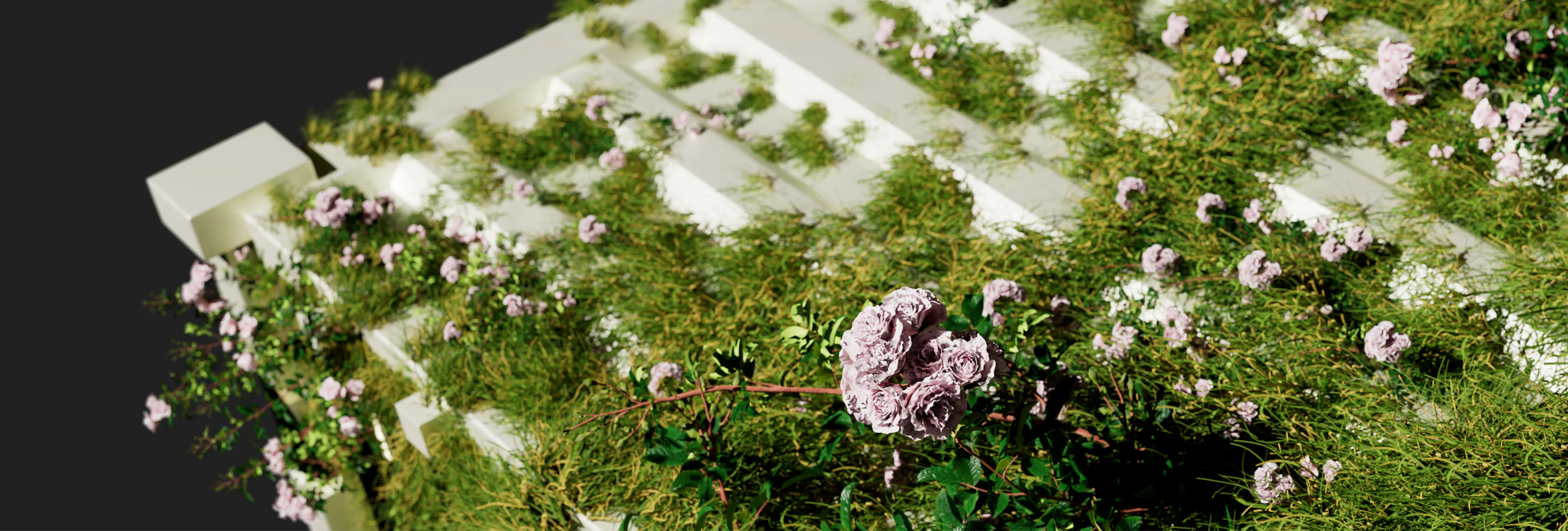 Malvah Studio branding project Boring identity design