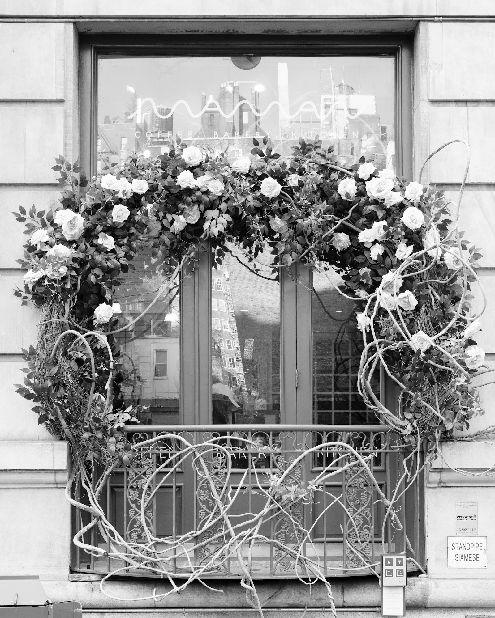 maman university exterior window