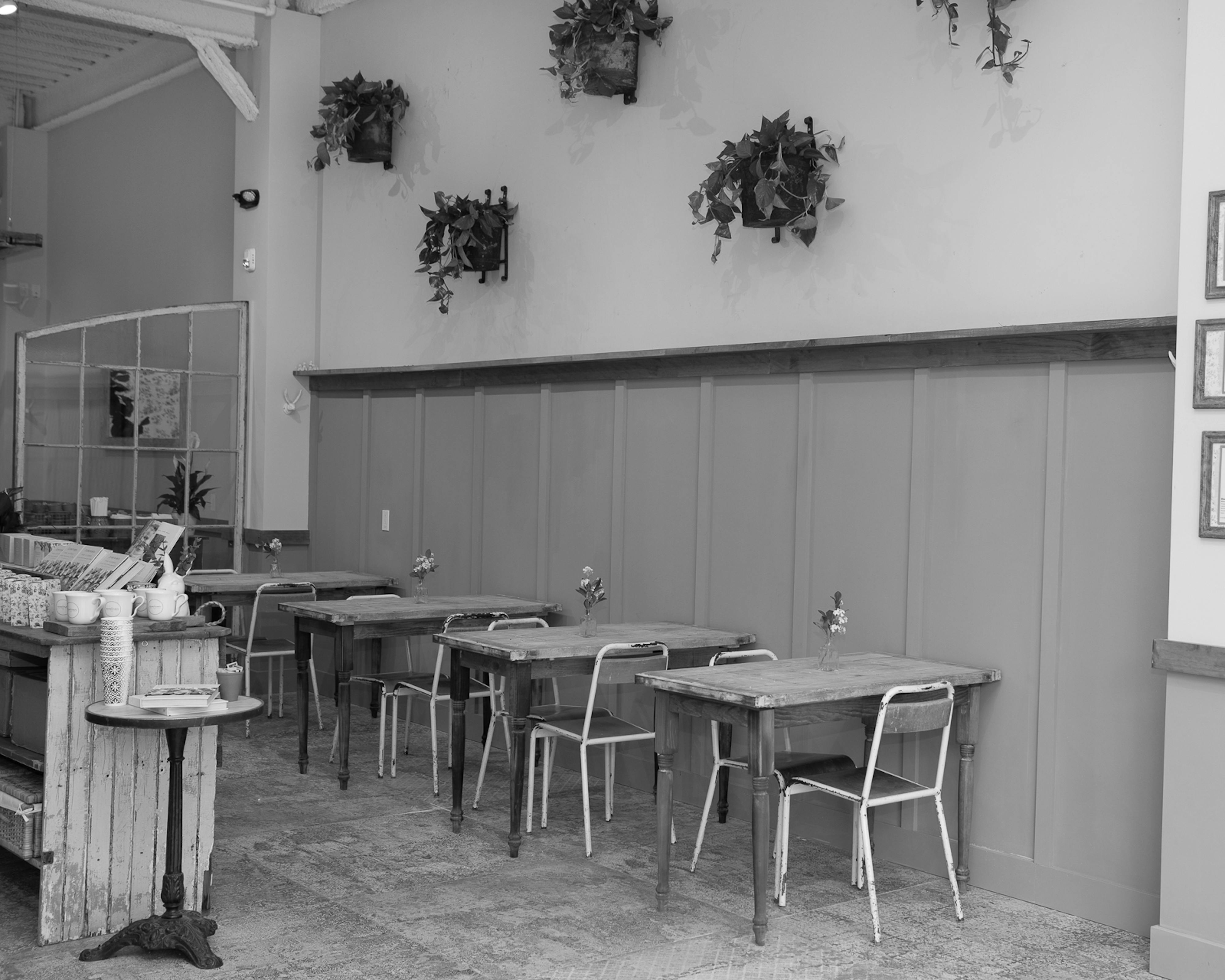 greenwich café interior