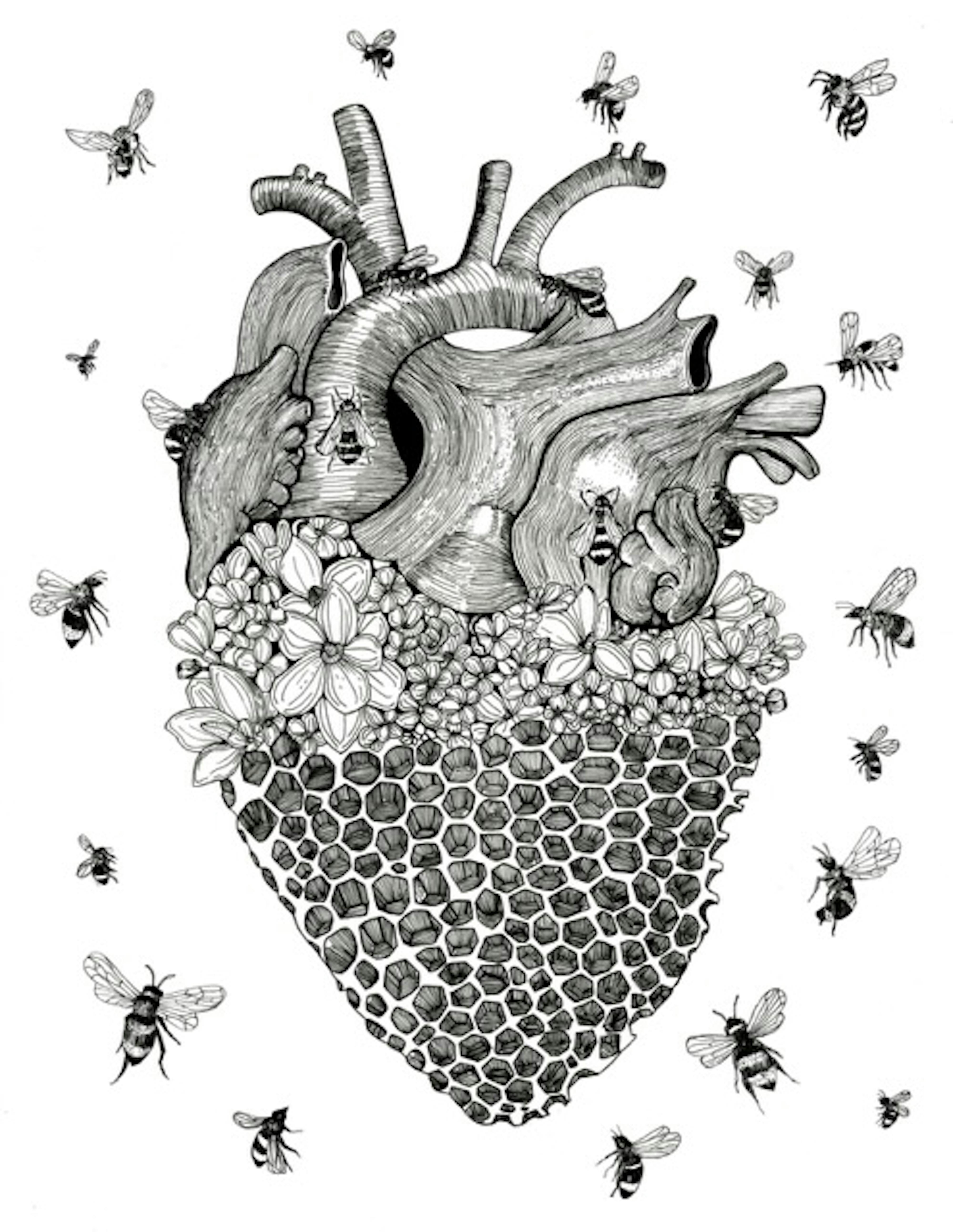 Rodrigo De Ojeda artwork